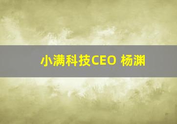 小满科技CEO 杨渊